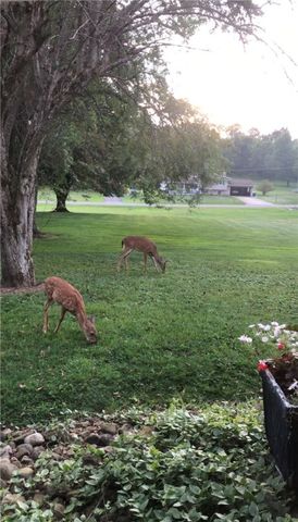 2072 Boyd School Rd, Shenango Twp, PA 16157