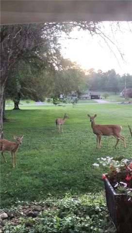 2072 Boyd School Rd, Shenango Twp, PA 16157