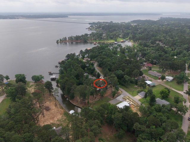 21945 Brierwood Dr, Frankston, TX 75763