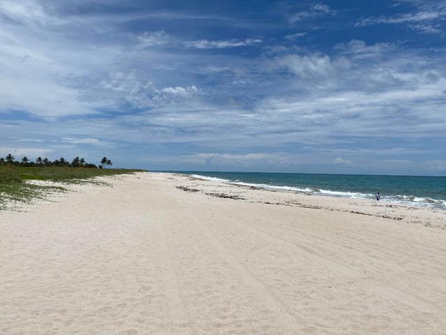 956 Tulip Lane, Vero Beach, FL 32963