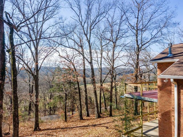 4832 Reece Church Rd, Columbia, TN 38401