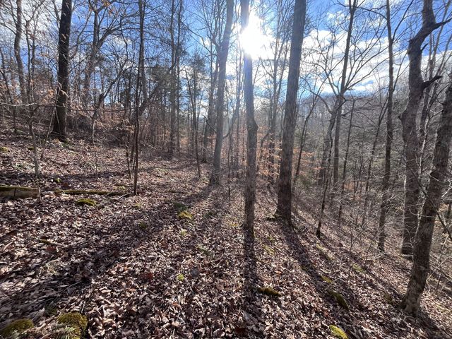 1146 Treanor Springs Rd, Kingston Springs, TN 37082