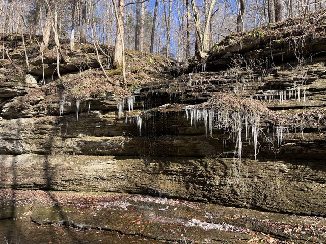 1146 Treanor Springs Rd, Kingston Springs, TN 37082