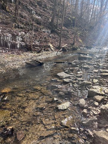 1146 Treanor Springs Rd, Kingston Springs, TN 37082