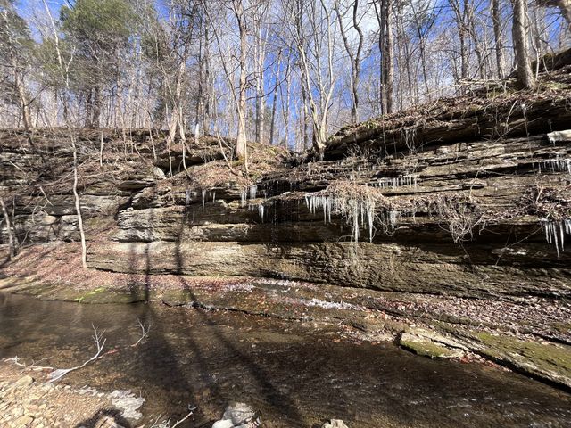 1146 Treanor Springs Rd, Kingston Springs, TN 37082