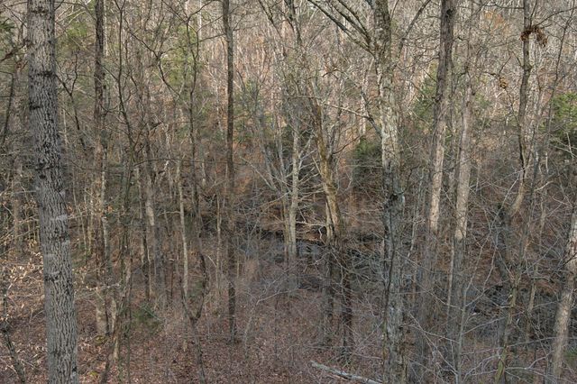 1146 Treanor Springs Rd, Kingston Springs, TN 37082