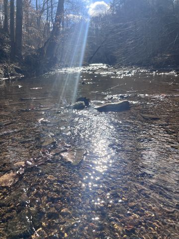 1146 Treanor Springs Rd, Kingston Springs, TN 37082