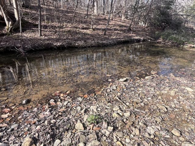 1146 Treanor Springs Rd, Kingston Springs, TN 37082