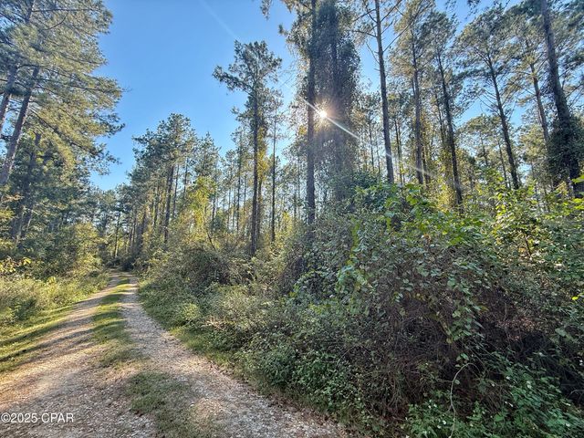 00 Lure Lane, Sneads, FL 32460