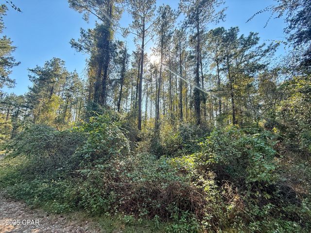 00 Lure Lane, Sneads, FL 32460