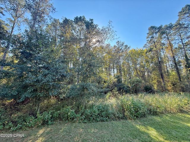 00 Lure Lane, Sneads, FL 32460