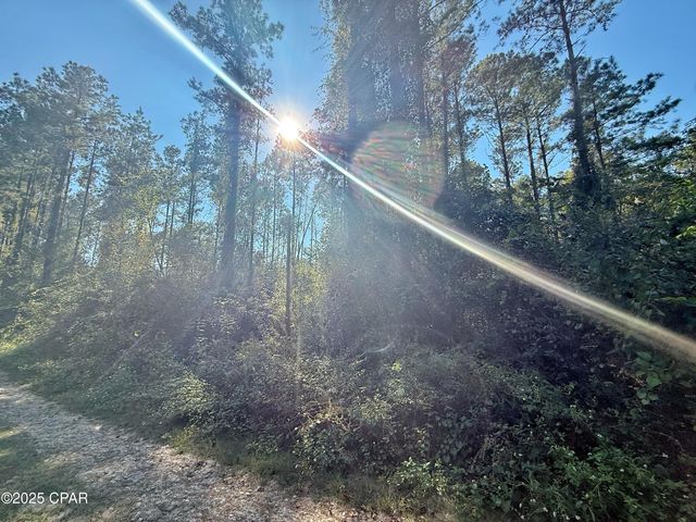 00 Lure Lane, Sneads, FL 32460