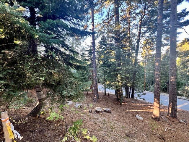 26405 Walnut Hills, Lake Arrowhead, CA 92391