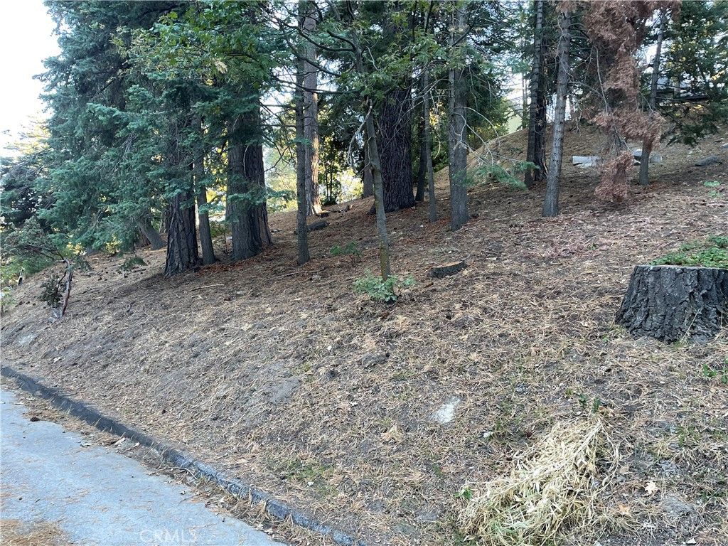26405 Walnut Hills, Lake Arrowhead, CA 92391