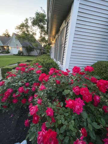 5594 Alan Moss Court, Dublin, OH 43017
