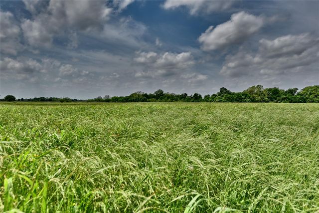 TBD River Haven Dr, Navasota, TX 77868