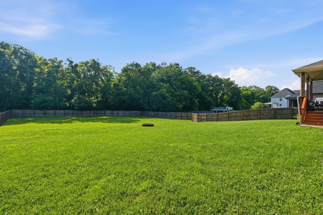 927 Nectar Ct, Adams, TN 37010
