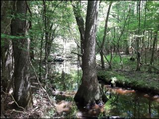 6628 Blackwater RD, Virginia Beach, VA 23457