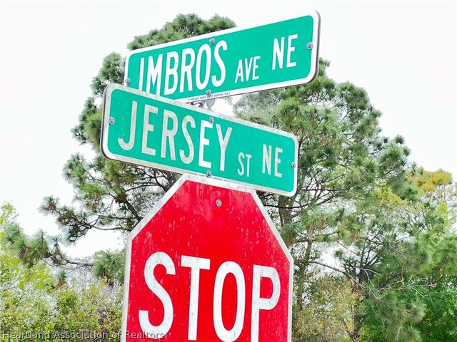 346 Imbros Avenue NE, Lake Placid, FL 33852