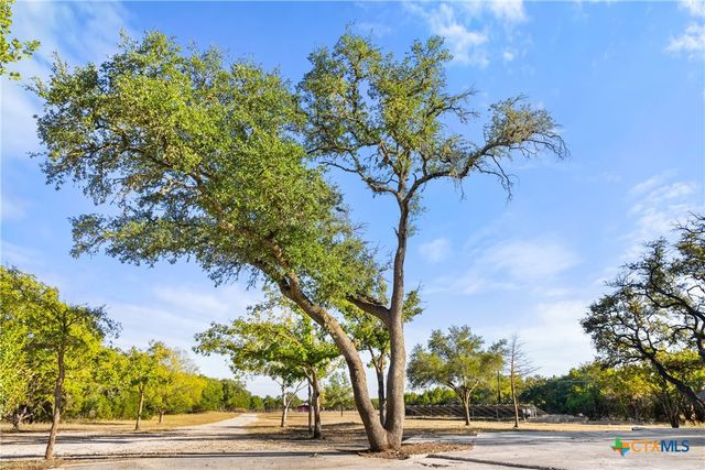 205 Mesquite Trail, Wimberley, TX 78676