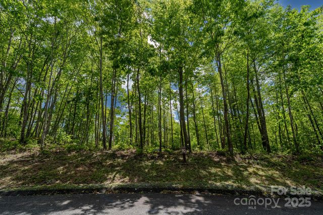 0 Beaver Dam Road, Elk Park, NC 28622