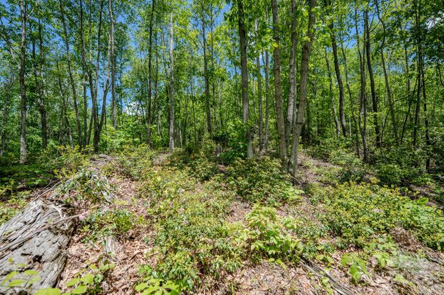 0 Beaver Dam Road, Elk Park, NC 28622