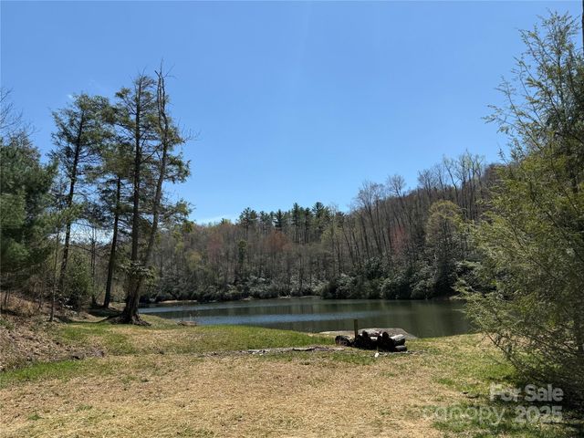 0 Beaver Dam Road, Elk Park, NC 28622