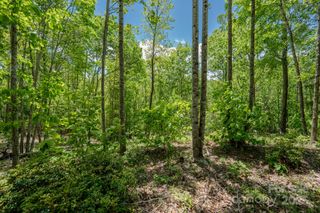 0 Beaver Dam Road, Elk Park, NC 28622