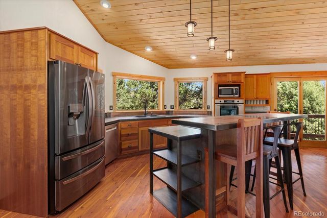 12200 Saddle Ridge Lane, Salida, CO 81201