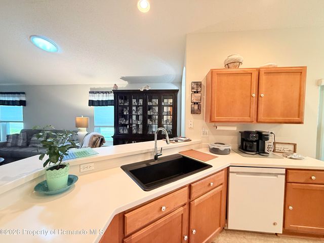 265 Center Oak Circle, Spring Hill, FL 34609