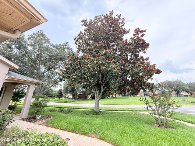 265 Center Oak Circle, Spring Hill, FL 34609