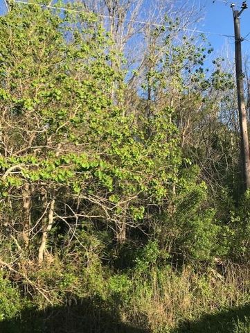 0 E Live Oak Road, Van Vleck, TX 77482