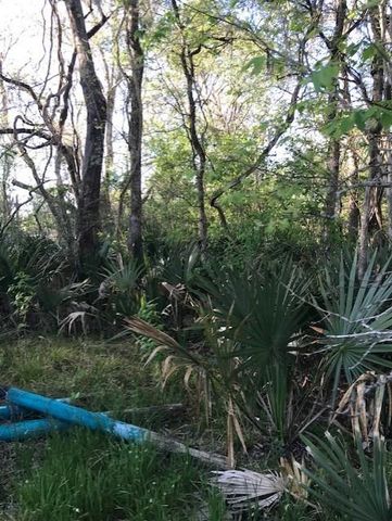 0 E Live Oak Road, Van Vleck, TX 77482