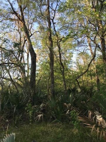 0 E Live Oak Road, Van Vleck, TX 77482