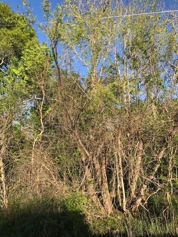 0 E Live Oak Road, Van Vleck, TX 77482