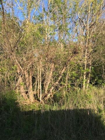 0 E Live Oak Road, Van Vleck, TX 77482