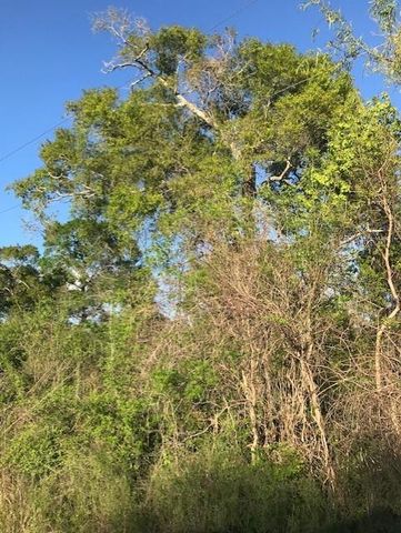 0 E Live Oak Road, Van Vleck, TX 77482