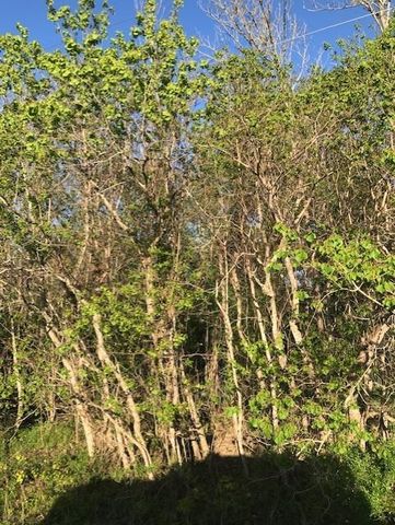 0 E Live Oak Road, Van Vleck, TX 77482