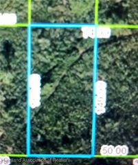 1322 Lark Street, Lake Placid, FL 33852