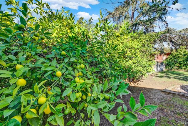 4118 Georgia St, Vallejo, CA 94591