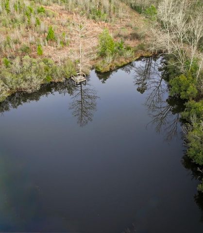 301 Paul Poe Road, Livingston, TX 77351