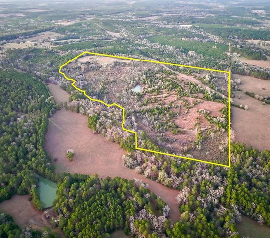 301 Paul Poe Road, Livingston, TX 77351