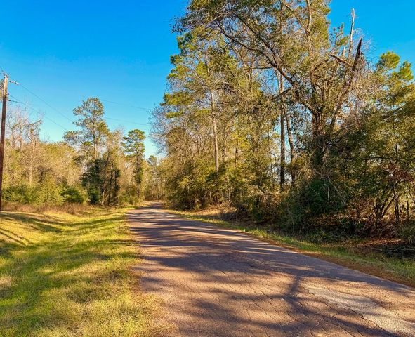 301 Paul Poe Road, Livingston, TX 77351