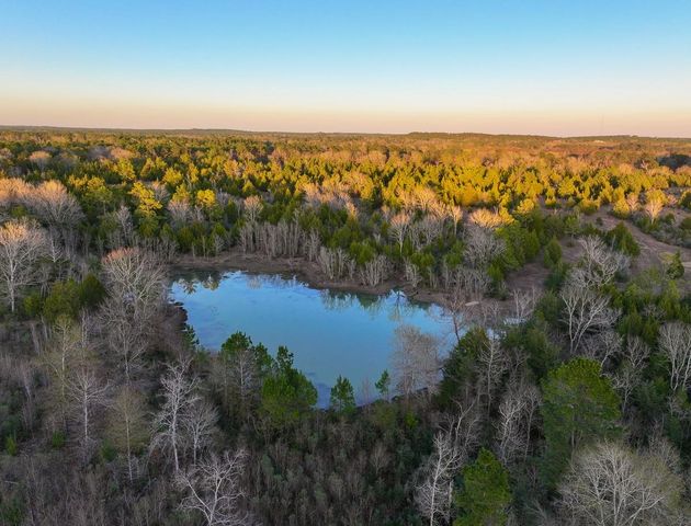 301 Paul Poe Road, Livingston, TX 77351