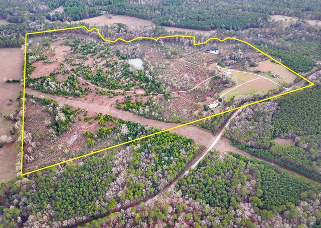 301 Paul Poe Road, Livingston, TX 77351