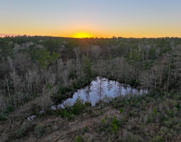 301 Paul Poe Road, Livingston, TX 77351