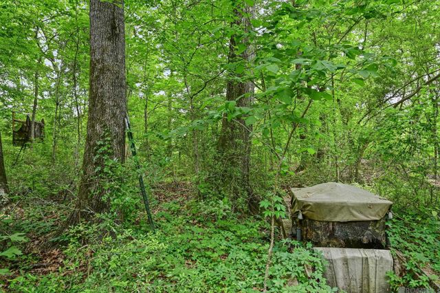 9836 Sligo Rd, St Francisville, LA 70775