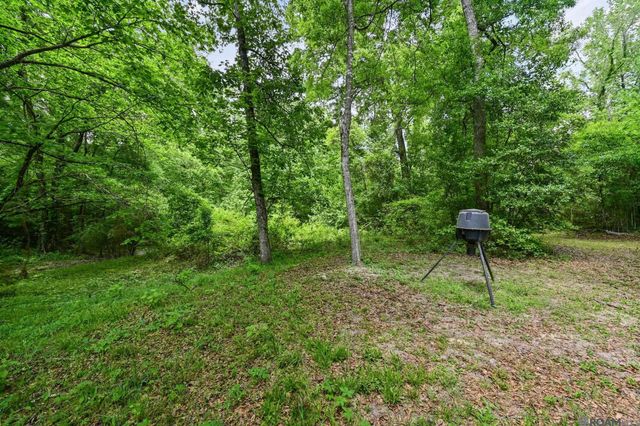9836 Sligo Rd, St Francisville, LA 70775