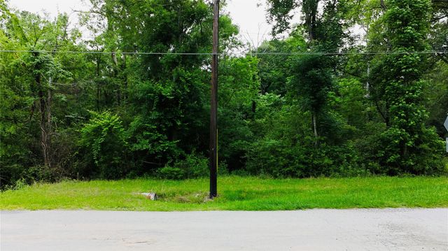 TBD Impala Drive, Onalaska, TX 77360