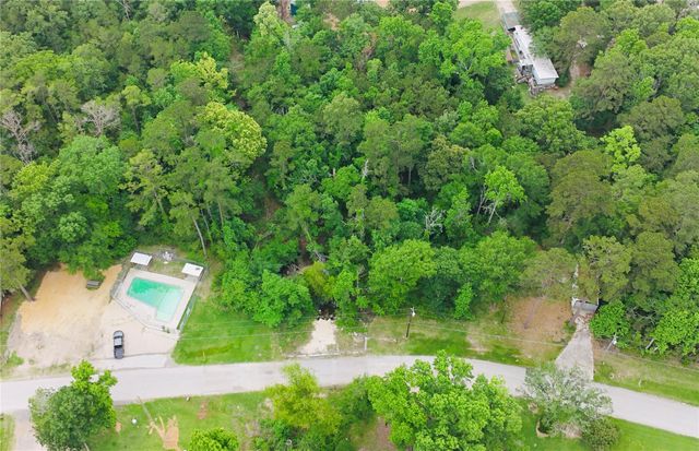 TBD Impala Drive, Onalaska, TX 77360